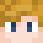 Minecraft players skin