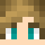 Minecraft avatar for Ertjie11