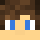 nave_234 Minecraft head