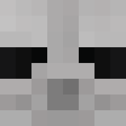 The shop owners Minecraft face