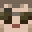 baro Minecraft avatar