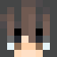 Minecraft players skin