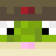Minecraft profile picture for @Democrats