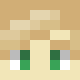 avatar ZippyDrawz skin