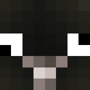 Minecraft profile picture for @Internally