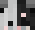 dawixx11