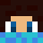 dtRobin Minecraft head