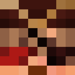 The shop owners Minecraft face