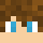 Wiiwho Minecraft head