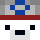 term1 Minecraft head