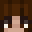 bonkhelicopter Minecraft avatar