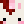 boxingbunny