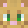 5un5etter Minecraft head