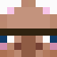 Minecraft players skin
