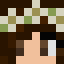 Minecraft players skin