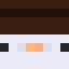 Minecraft players skin