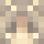 Minecraft players skin