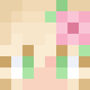 Verona666 Minecraft-head