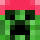 Wasserschwien Minecraft head