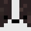Minecraft avatar for ReaiBadger1