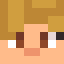 Minecraft players skin