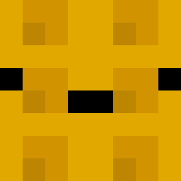 The shop owners Minecraft face