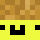 Pool_is_cool Minecraft head