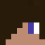 Minecraft players skin