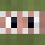 Minecraft players skin