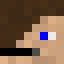 Minecraft players skin