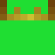 Minecraft profile picture for @Risks
