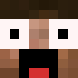 The shop owners Minecraft face