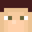 Minecraft players skin