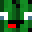 cactuos