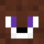 Minecraft players skin