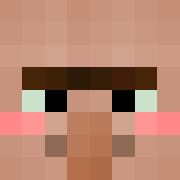 Minecraft profile picture for @remuneration