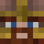 Minecraft players skin