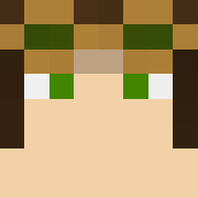 Minecraft profile picture for @Transient