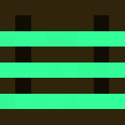 Minecraft profile picture for @Evo