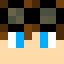 Minecraft players skin