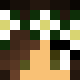 avatar avixeh skin