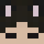 Minecraft players skin