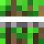 celticsfan237