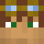 Minecraft players skin