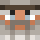Usamah Minecraft head