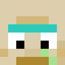 LarsKoala56 Minecraft-head