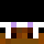 5wxrd Minecraft head