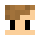 swampjohan Minecraft head