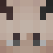 Minecraft profile picture for @Securities