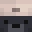 Companion_Pet